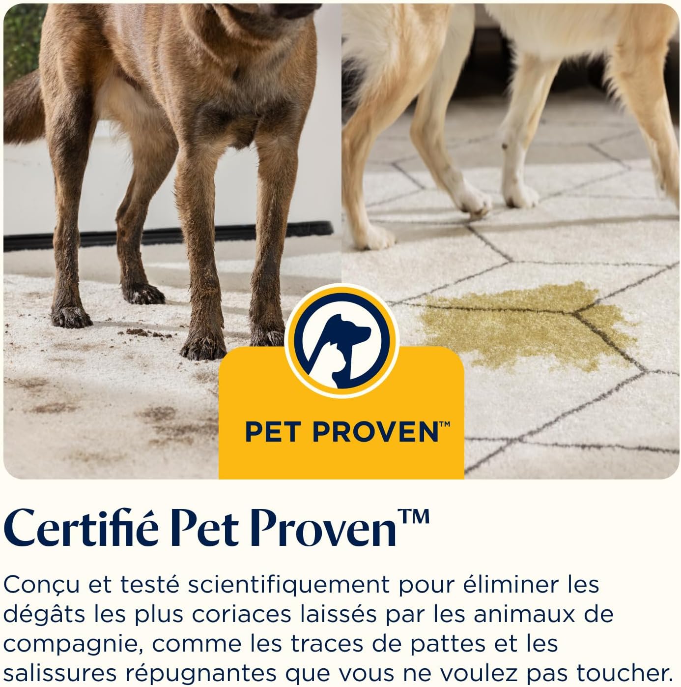 Nettoyeur vapeur BISSELL SpotClean HydroSteam.