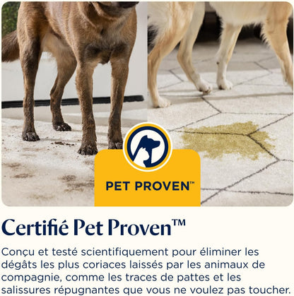 Nettoyeur vapeur BISSELL SpotClean HydroSteam.